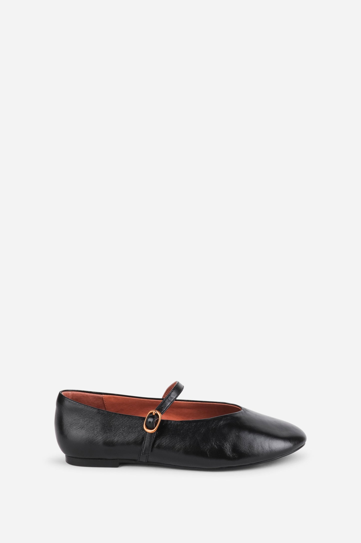 Intentionally Blank LARISA LEATHER MARY JANE FLAT