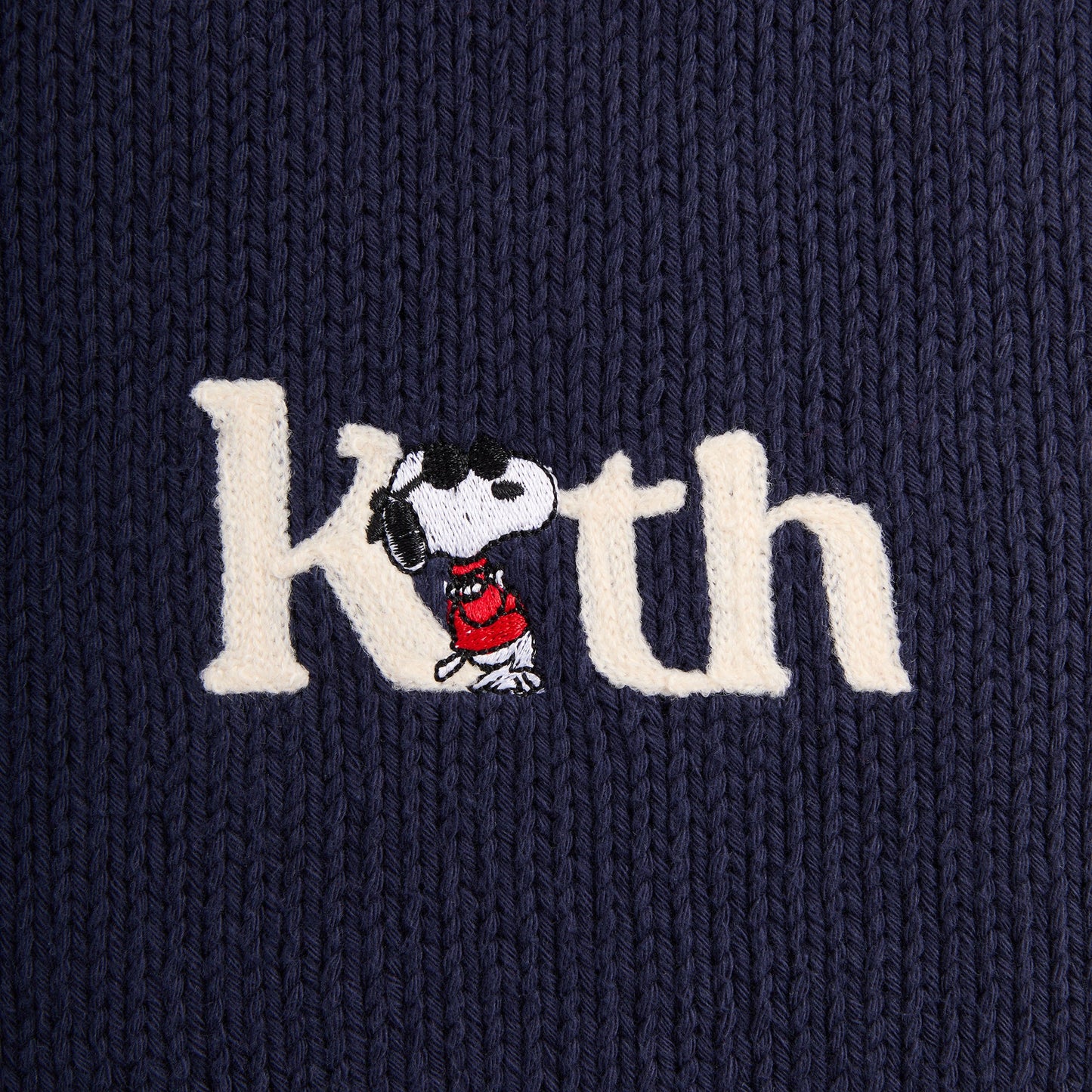 Men Kith Kith for Peanuts Globe Wyona Full Zip Sweater - Nocturnal