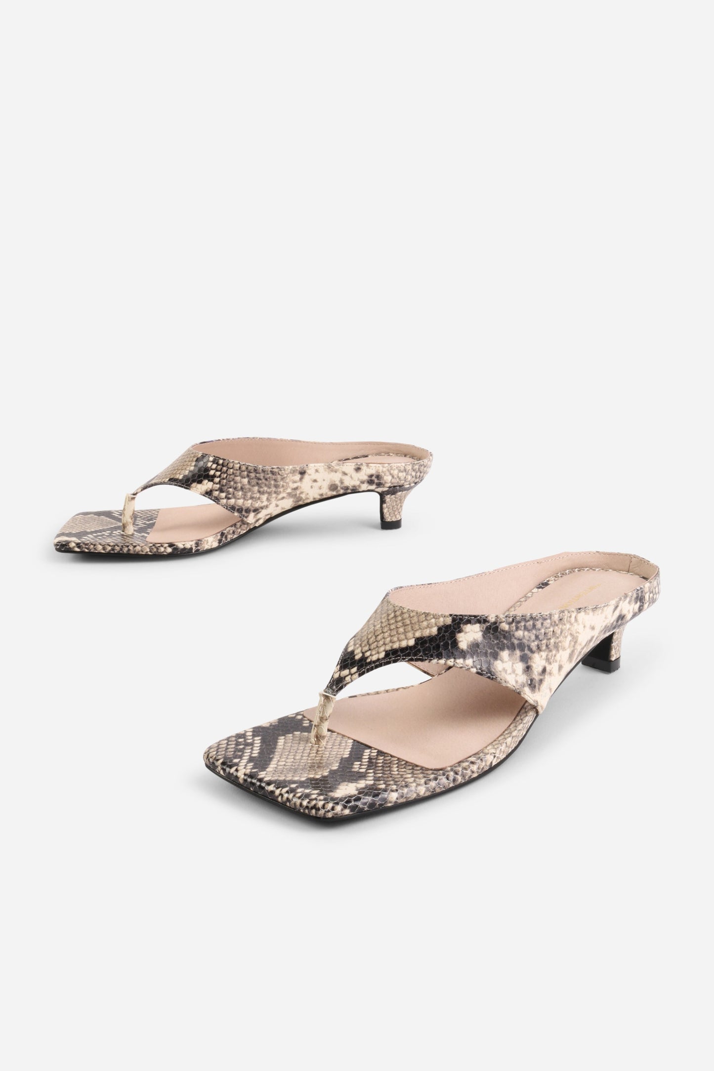 Intentionally Blank YEAR AHEAD SNAKE EMBOSSED KITTEN HEEL