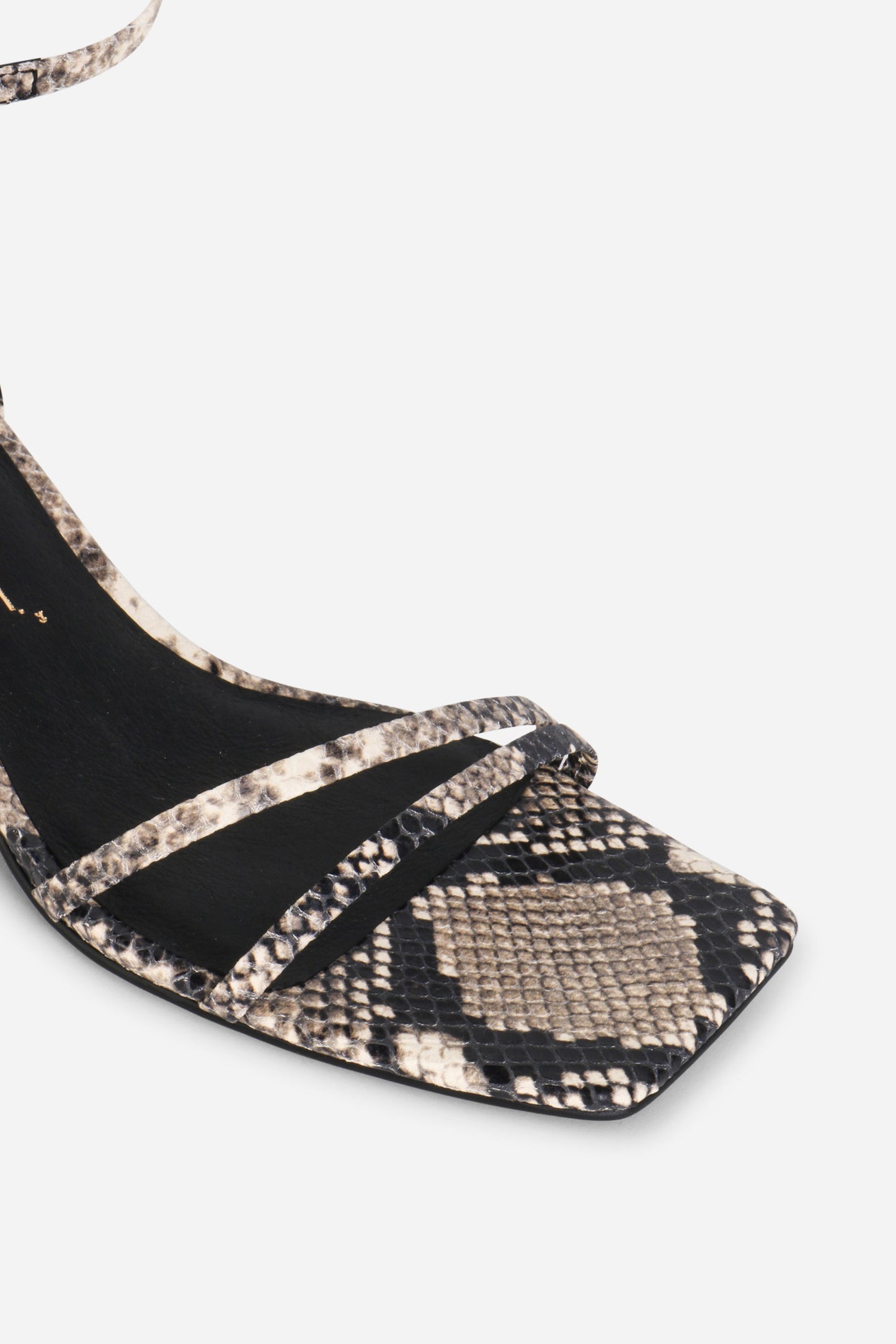 Intentionally Blank PRETTY PLEASE SNAKE EMBOSSED HEEL