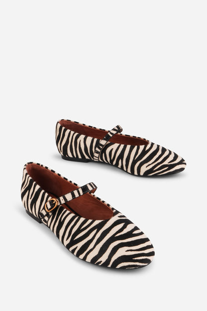 ZEBRA,5