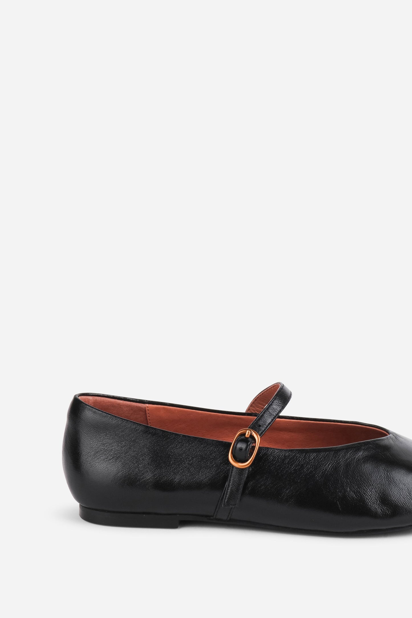 Intentionally Blank LARISA LEATHER MARY JANE FLAT