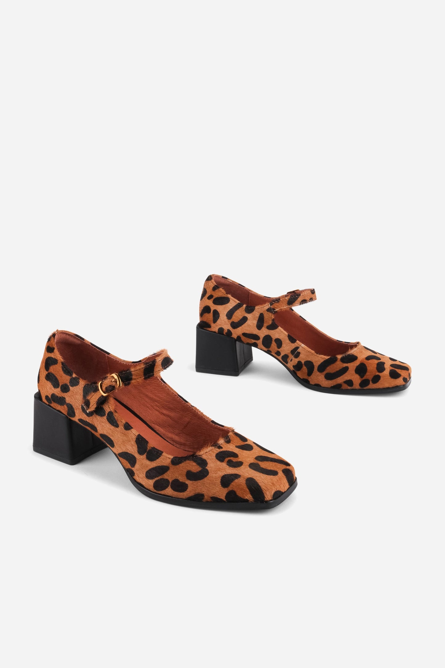 LEOPARD,5
