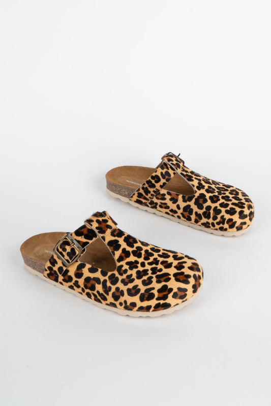 Intentionally Blank PARMA CLOG MULE