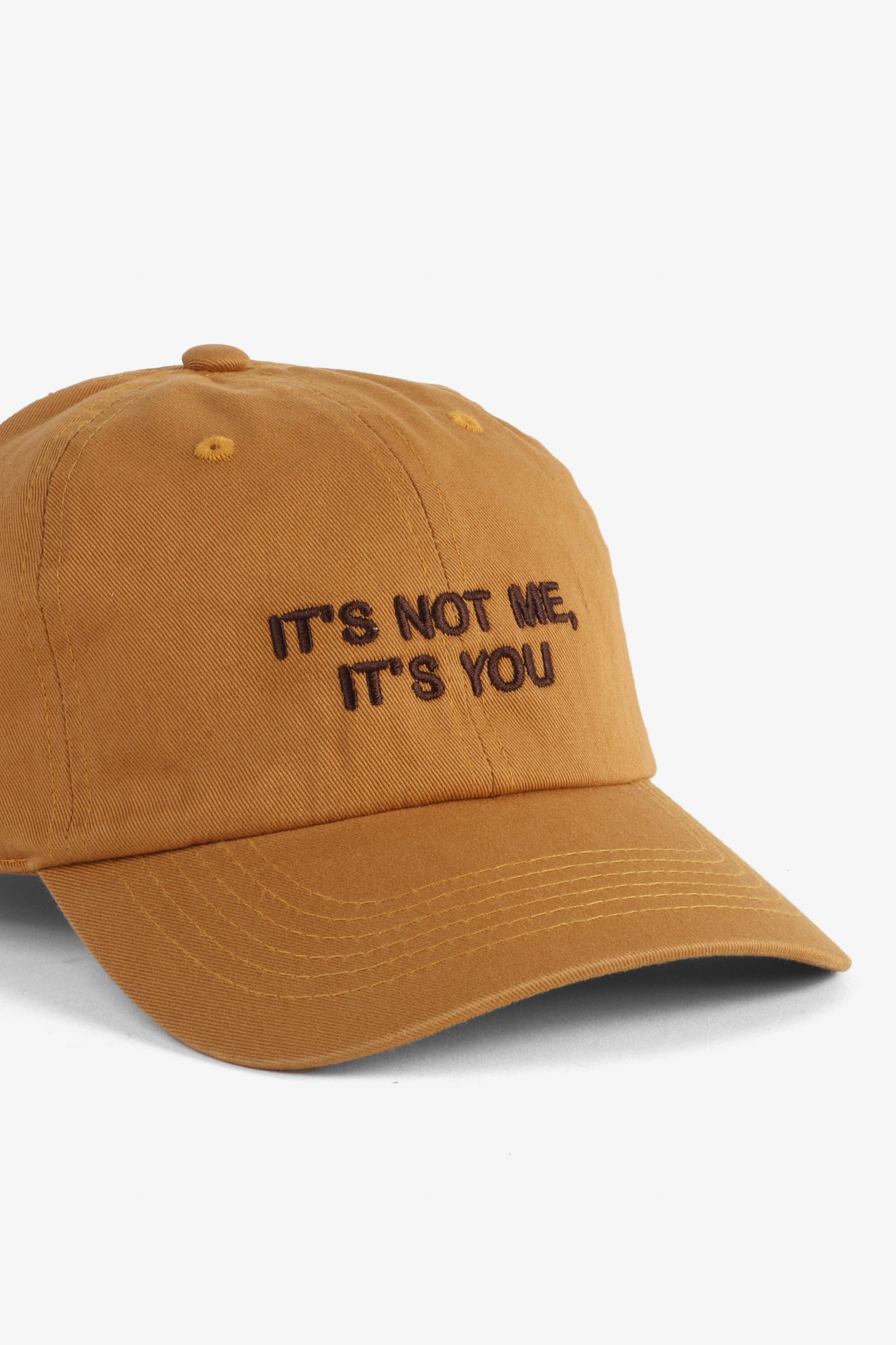 Intentionally Blank IT'S NOT ME, IT'S YOU DAD CAP