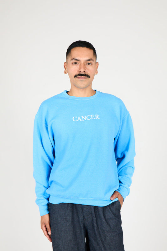 Intentionally Blank CANCER ZODIAC PULLOVER
