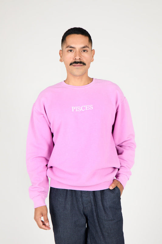 Intentionally Blank PISCES ZODIAC PULLOVER