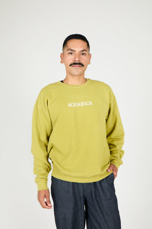 Intentionally Blank AQUARIUS ZODIAC PULLOVER