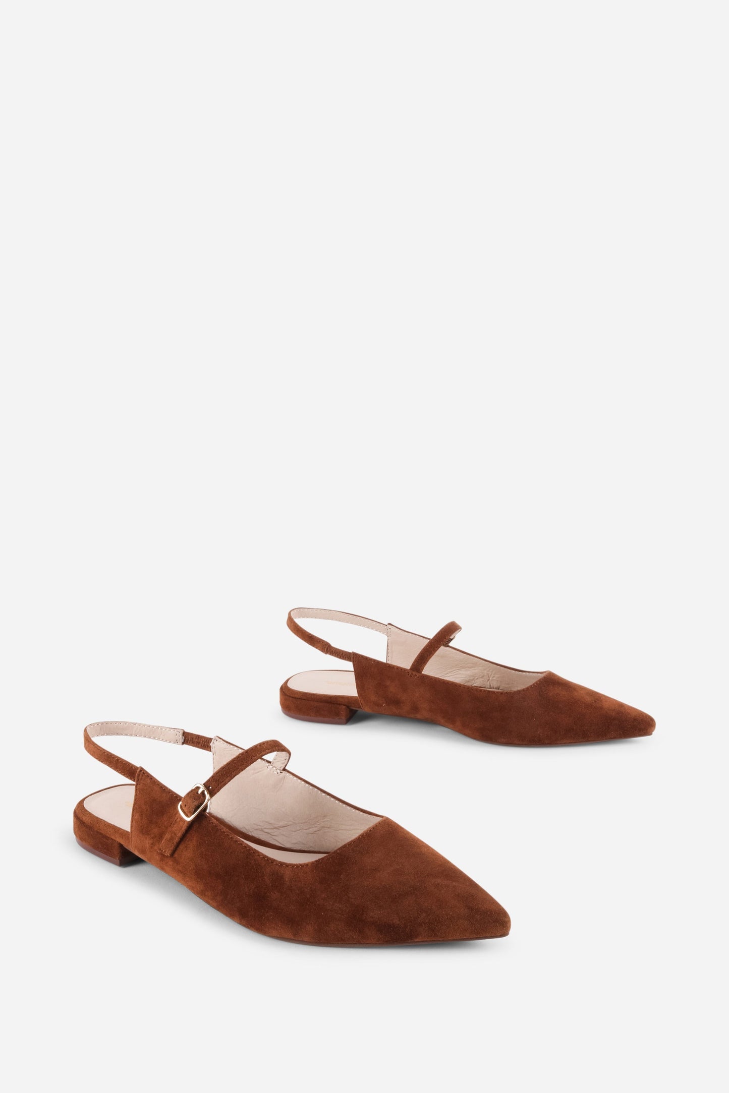 COGNAC,5