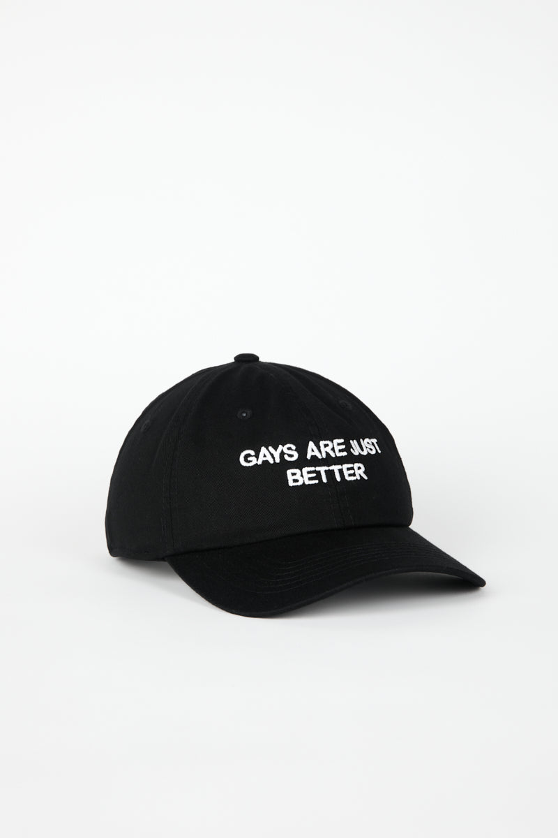 Intentionally Blank GAYS ARE JUST BETTER DAD CAP