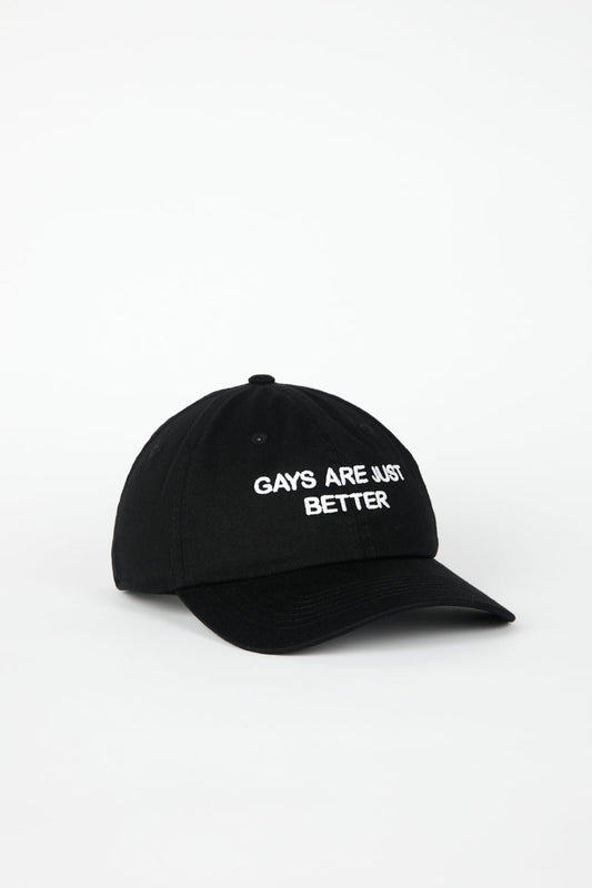 Intentionally Blank GAYS ARE JUST BETTER DAD CAP