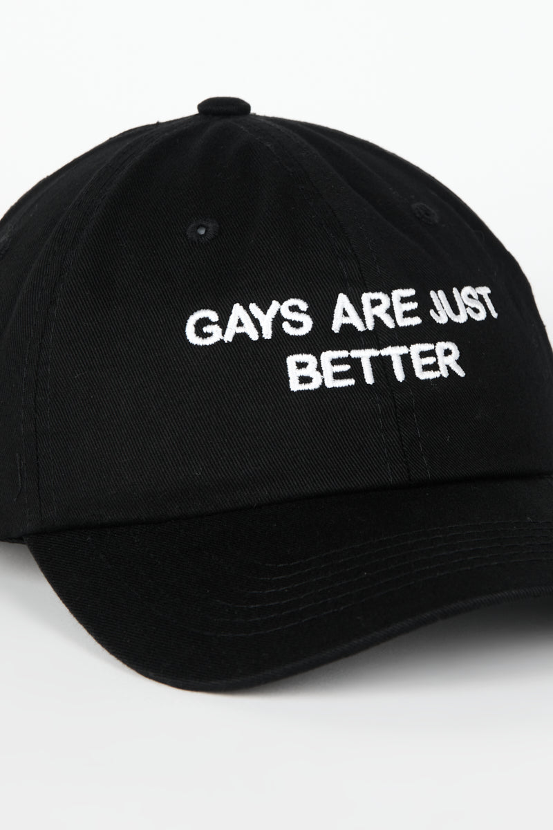 Intentionally Blank GAYS ARE JUST BETTER DAD CAP