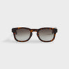 Walnut Tortoise