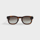 Walnut Tortoise