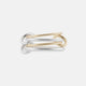 Silver / Gold