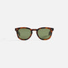 Spotted Brown Shell / Semi Flat Pure Green Polar