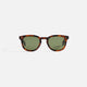 Spotted Brown Shell / Semi Flat Pure Green Polar