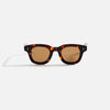 Tortoise / Brown