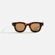 Tortoise / Brown