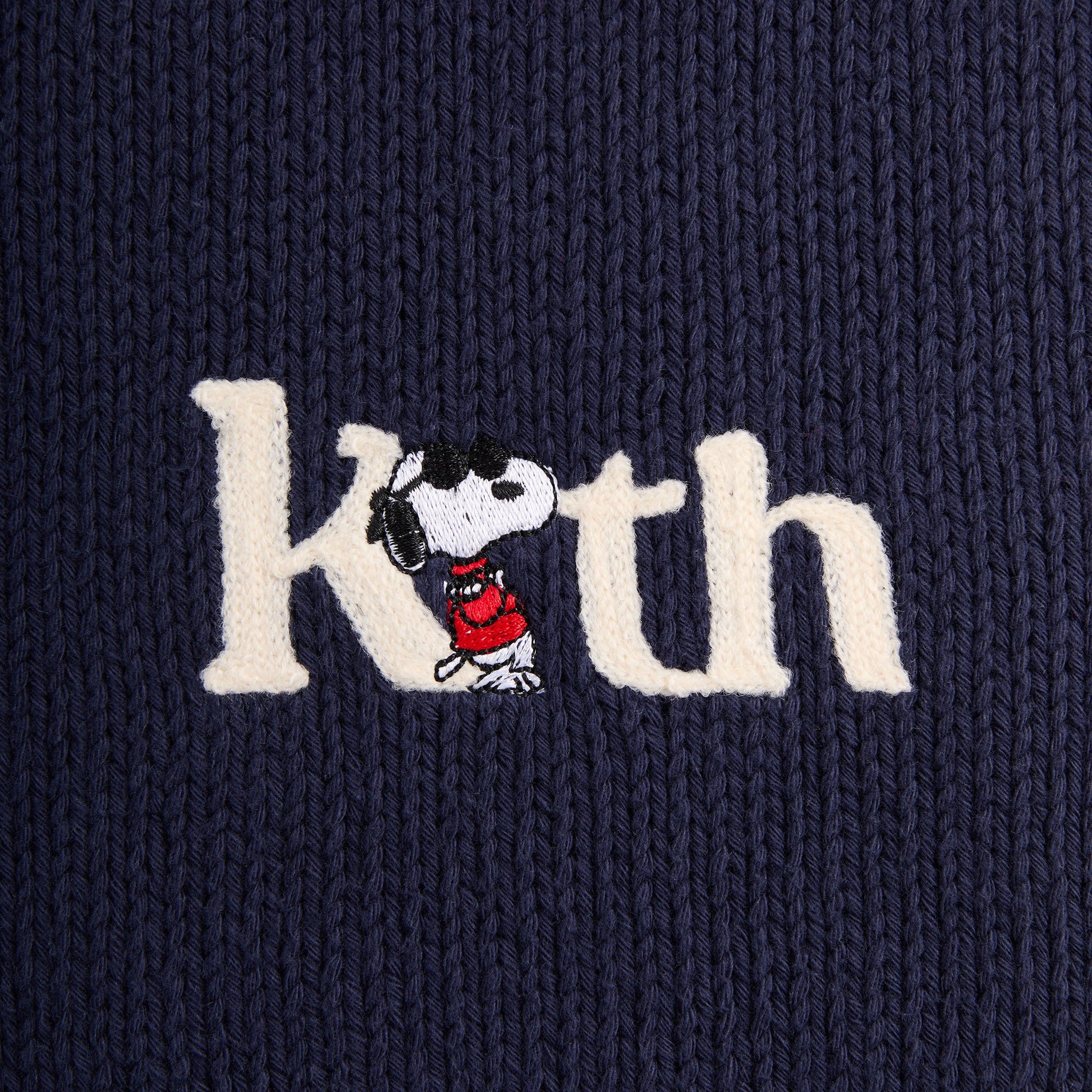 Men Kith Kith for Peanuts Globe Wyona Full Zip Sweater - Nocturnal