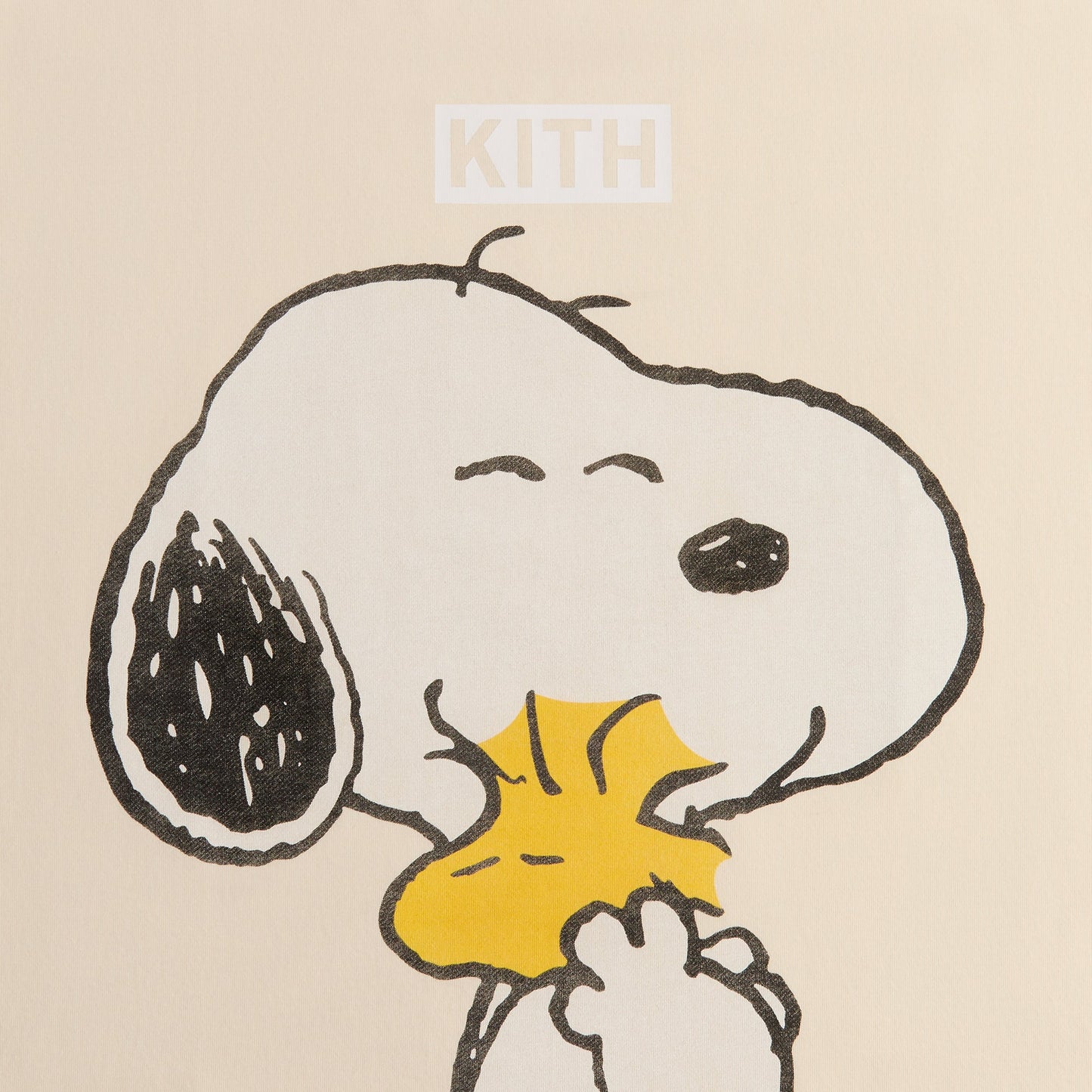 Men Kith Kith for Peanuts Hug Vintage Tee - Sandrift