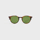 Spotted Brown Shell / Semi Flat Pure Green