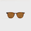 Spotted Brown Shell / Semi Flat Pure Coffee Polar