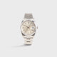 Unpolished / Silver Dial