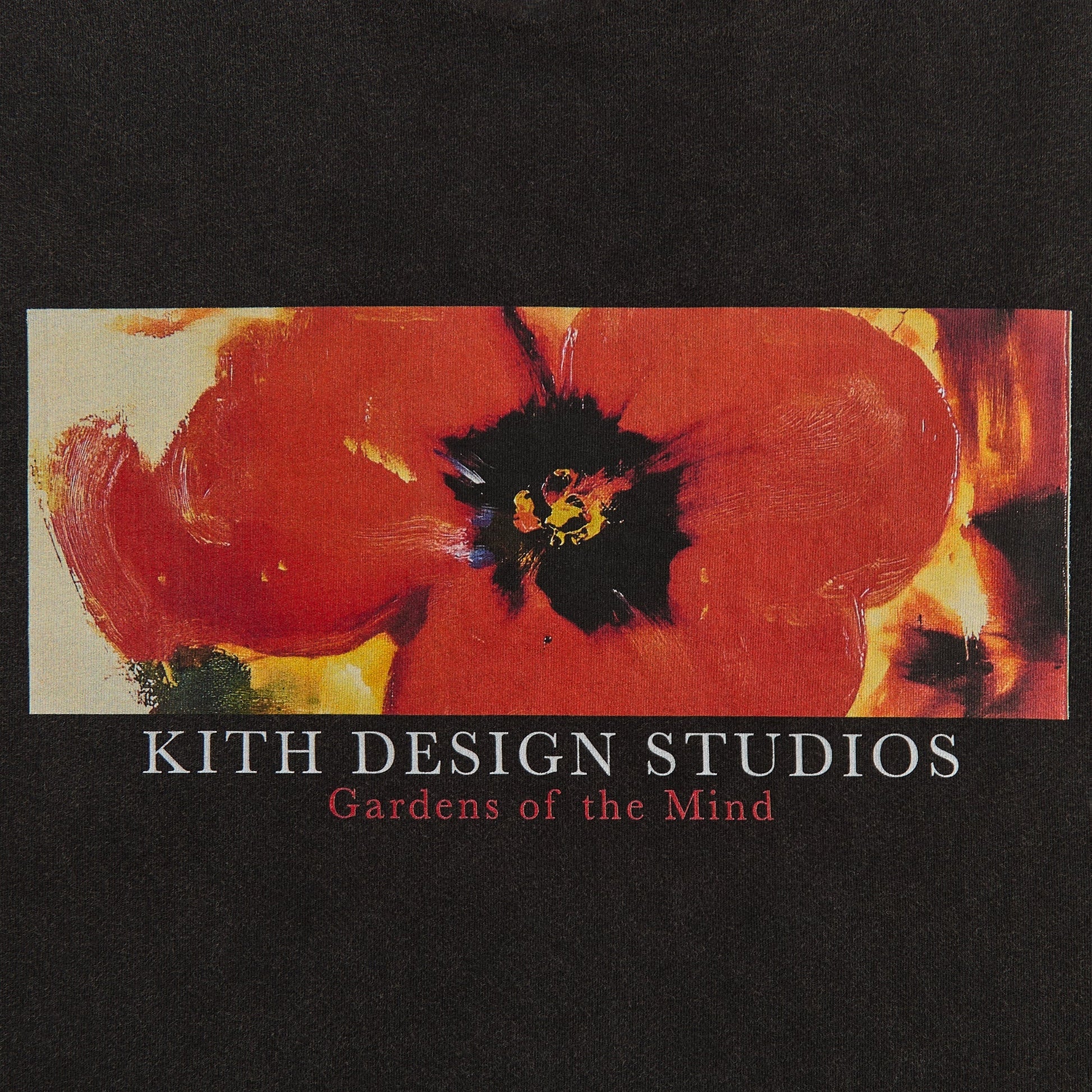 Men Kith Kith Gardens of The Mind Vintage Tee - Black