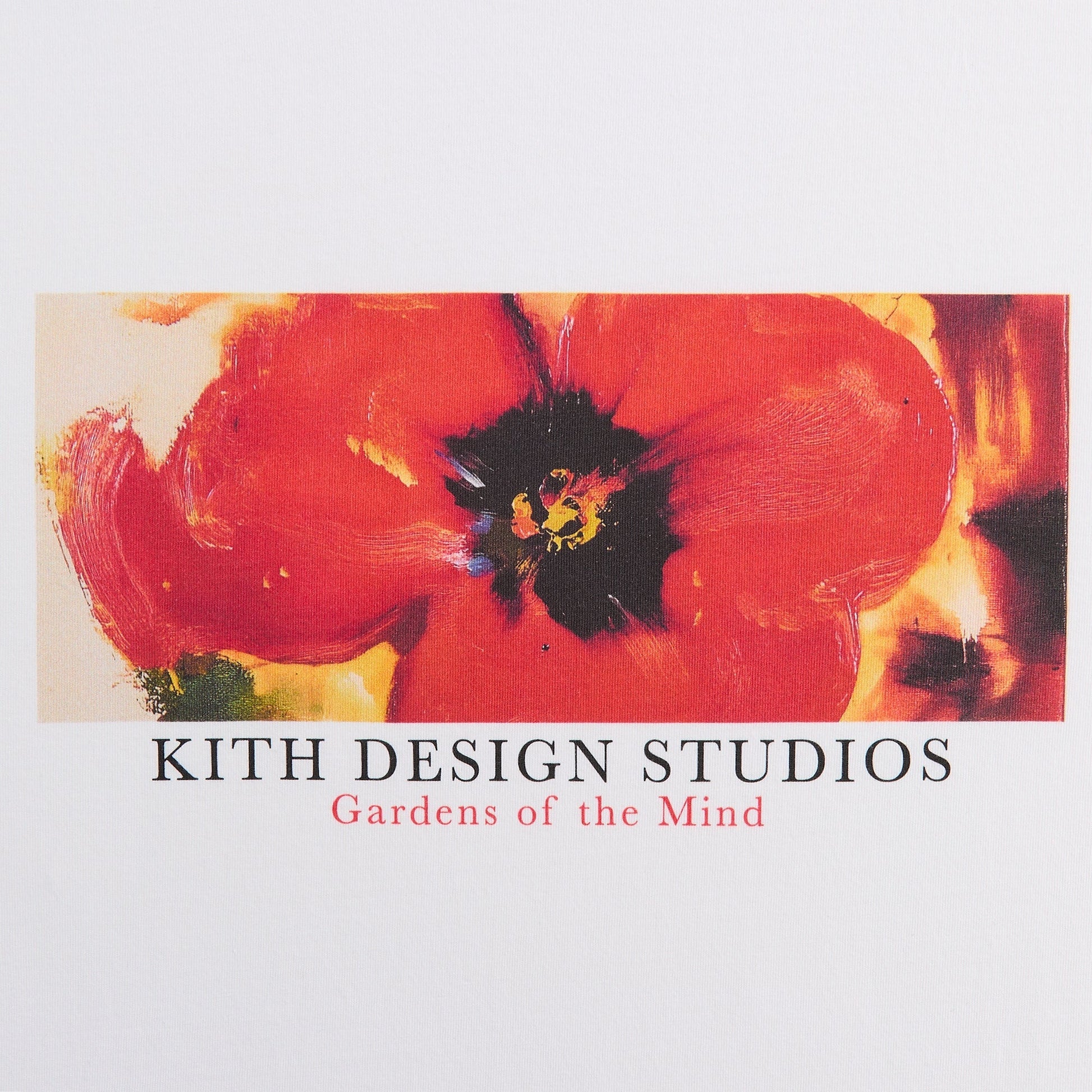 Men Kith Kith Gardens of The Mind Vintage Tee - White